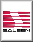 Saleen Locksmith Services